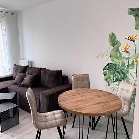 Przy Malborskiej Apartment *